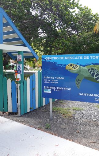 Centro de Rescate de Tortugas Marinas